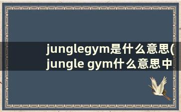 junglegym是什么意思(jungle gym什么意思中文翻译)